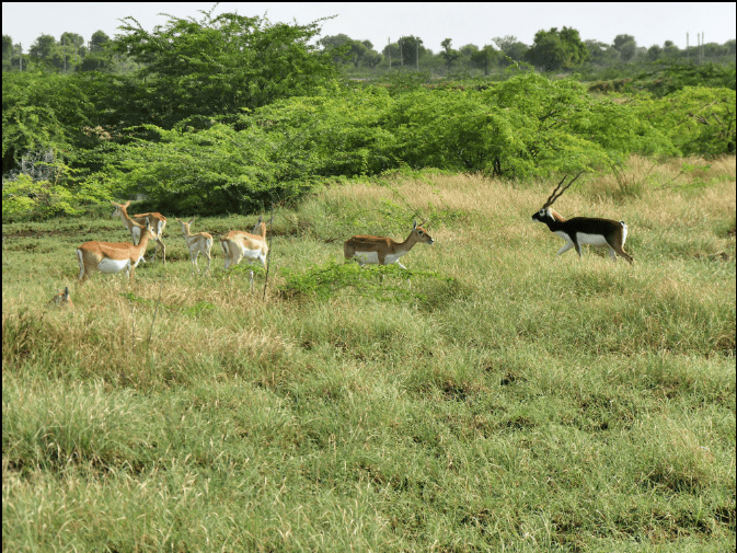 picture of hidden village of rajasthan