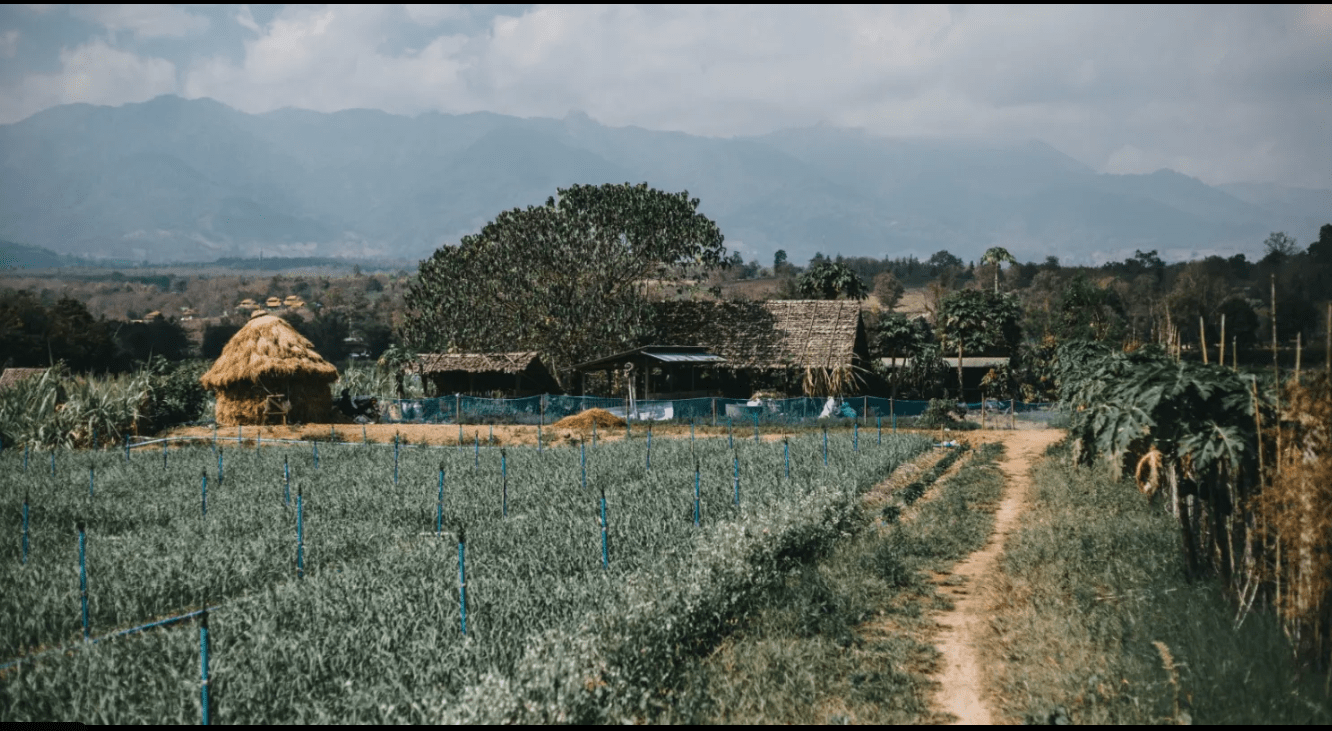 Aravalli hills picture